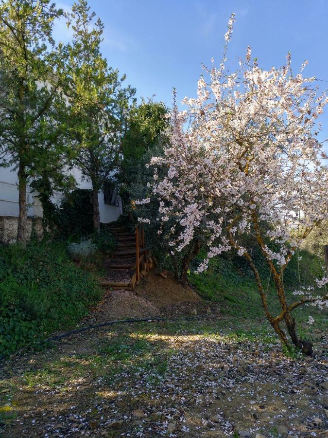 Casa La Liebrecilla Guest House Riogordo Luaran gambar